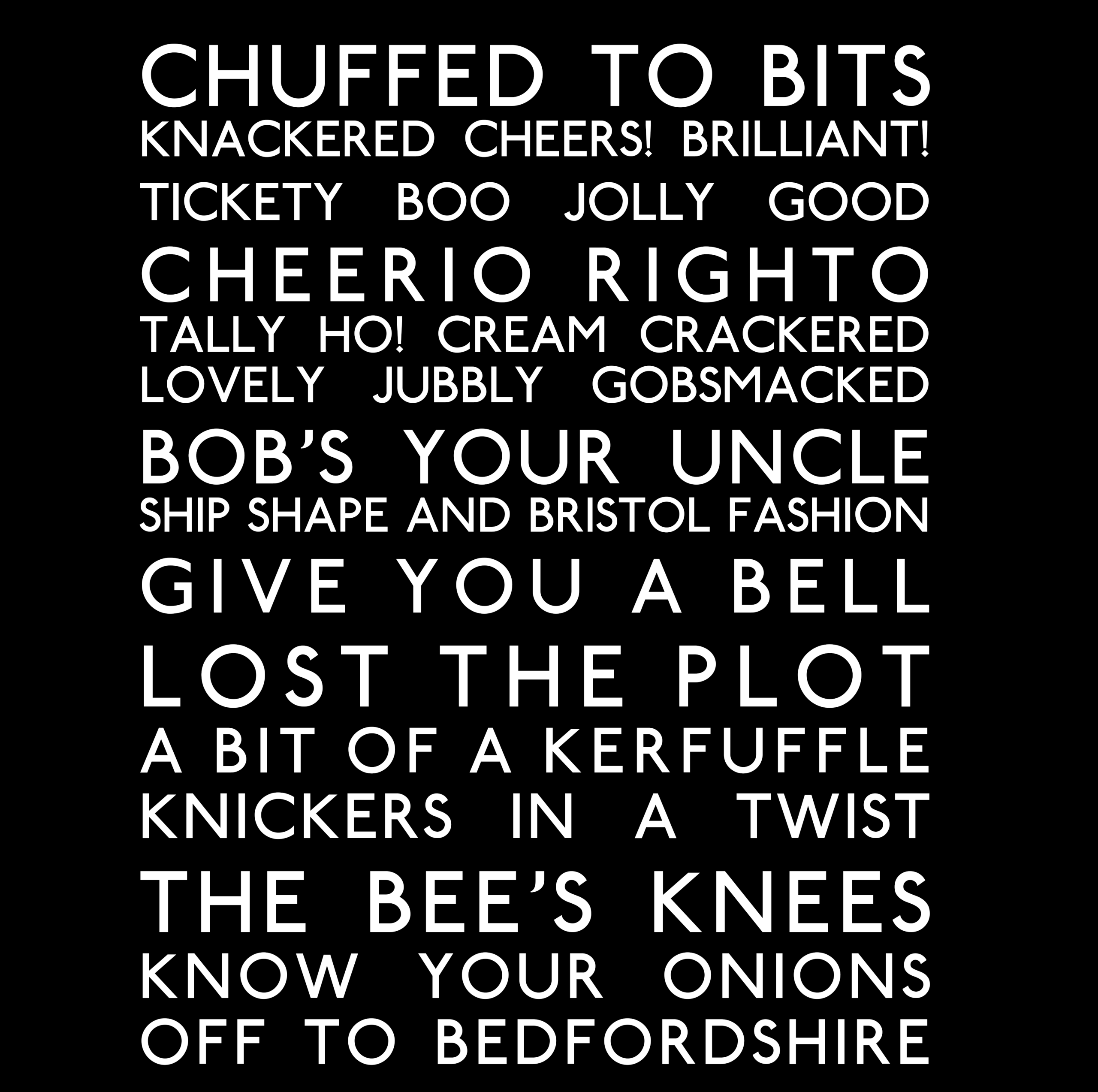 Brit Slang Explained: Translation Chart for our British Slang Bus Blind T-shirt Design