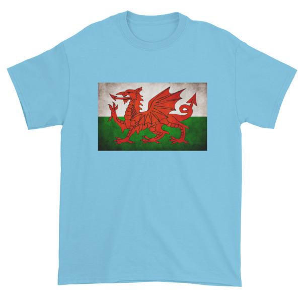 Vintage Wales - Short sleeve t-shirt - Image 7