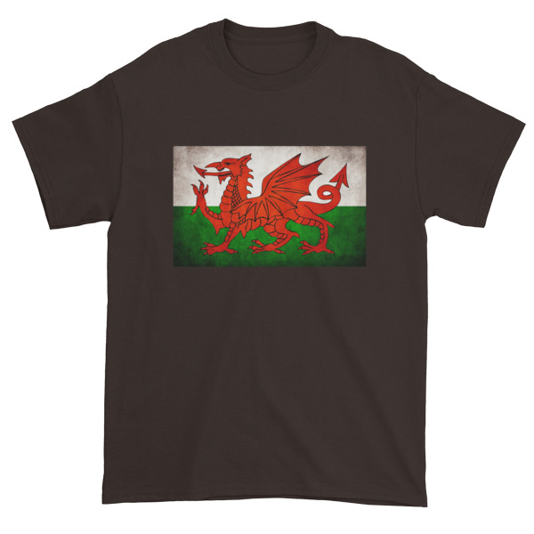 Vintage Wales - Short sleeve t-shirt - Image 3