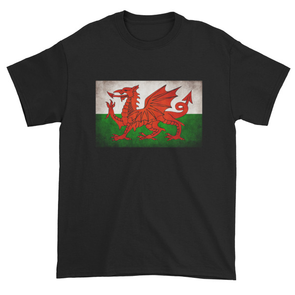 Vintage Wales - Short sleeve t-shirt - Image 4