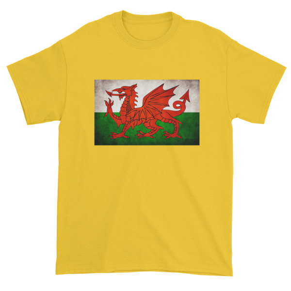 Vintage Wales - Short sleeve t-shirt - Image 8