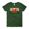 Vintage Wales - Women's short sleeve t-shirt
