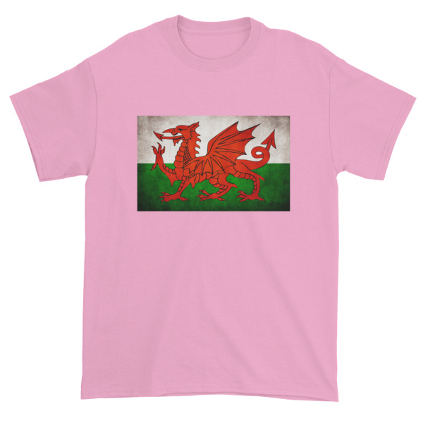Vintage Wales - Short sleeve t-shirt - Image 9