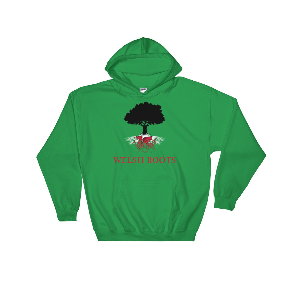 Welsh Roots - Hooded Sweatshirt - Image 4