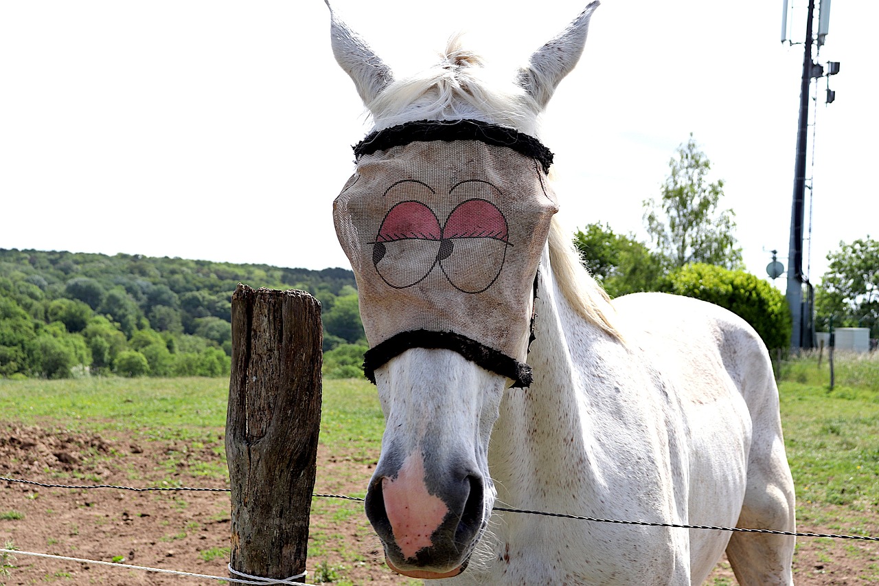 The British Sense of Humor: Exploring Comedy, Satire, and Wit