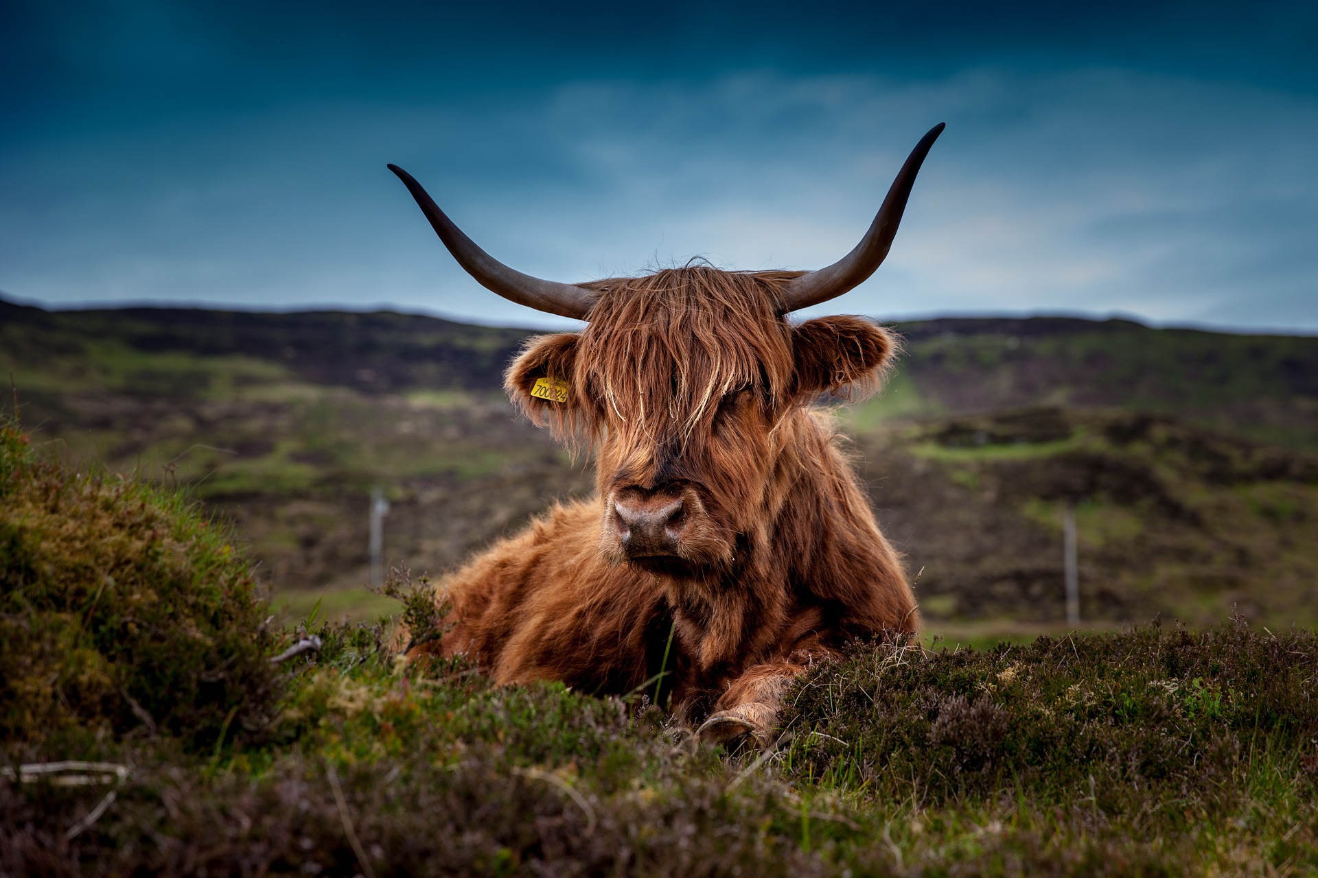 Scottish Slang: Words You’ll Only Hear in the Highlands
