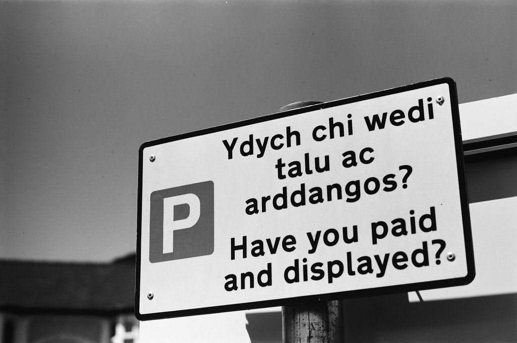 The Welsh Language Revival: How a Dying Language Became Cool Again
