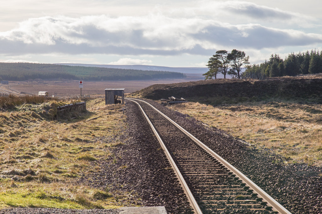 Hidden Railways: Britains Abandoned Tracks You Can Still Hike Today